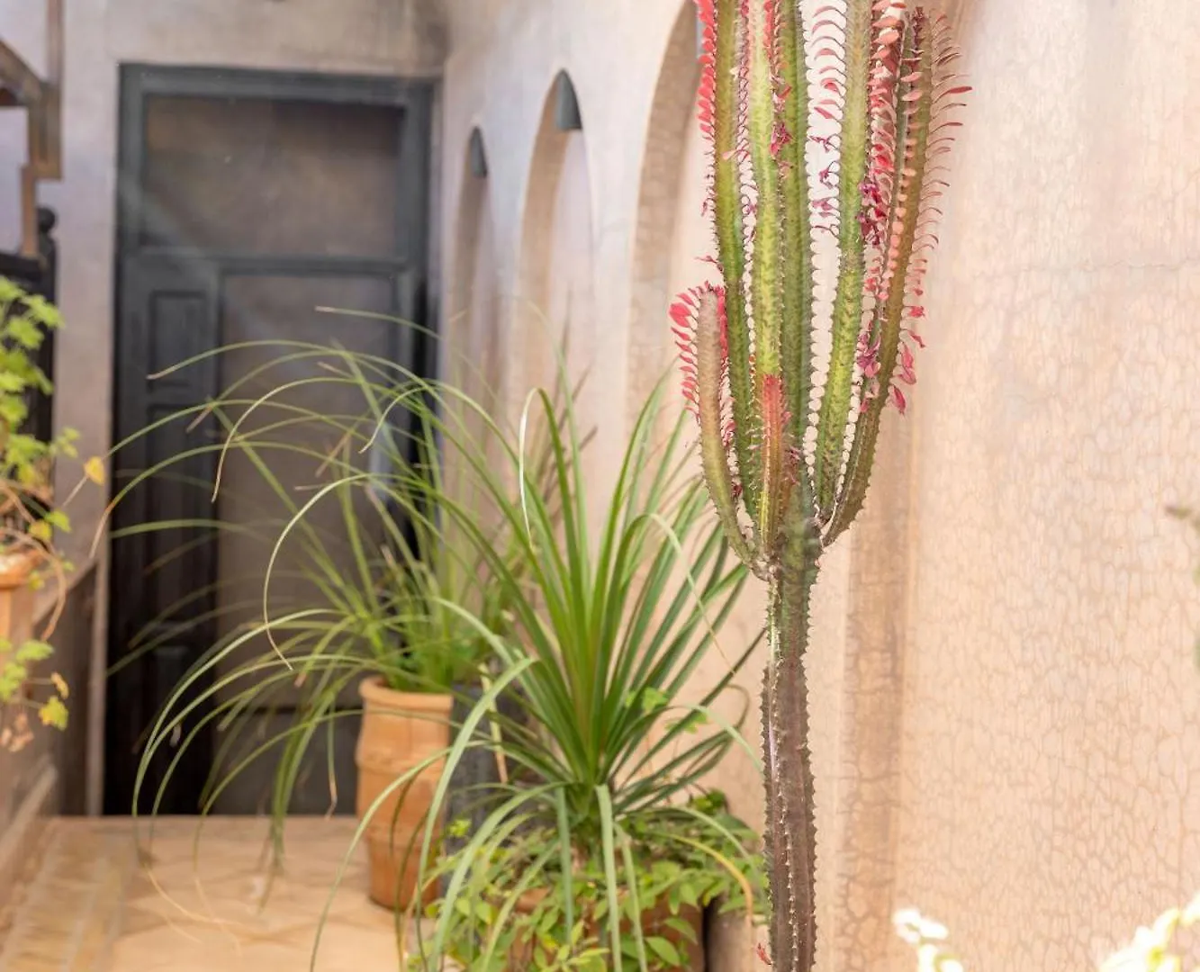 Dar Beija Bed & Breakfast Marrakesh