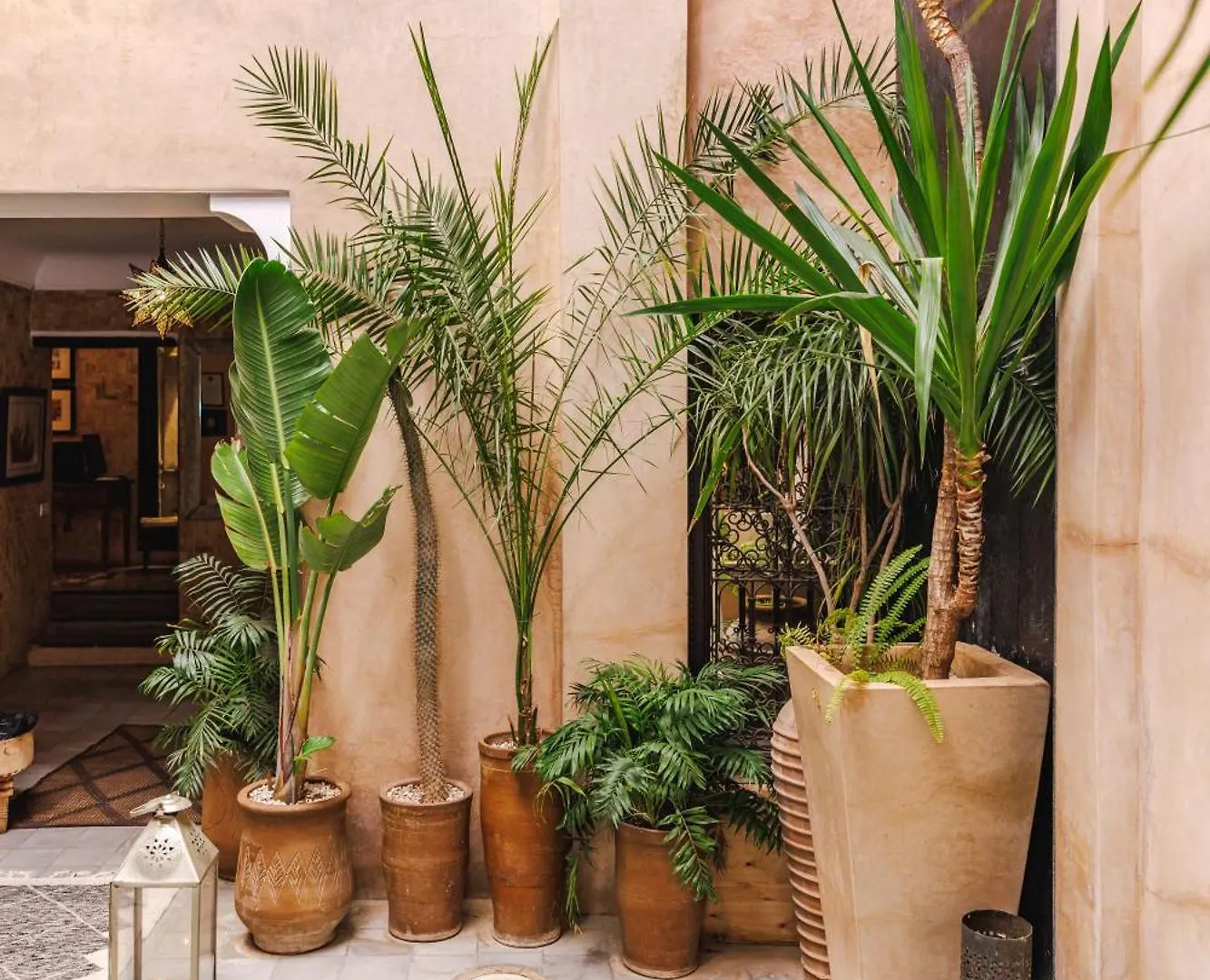Bed and Breakfast Dar Beija Marrakesh