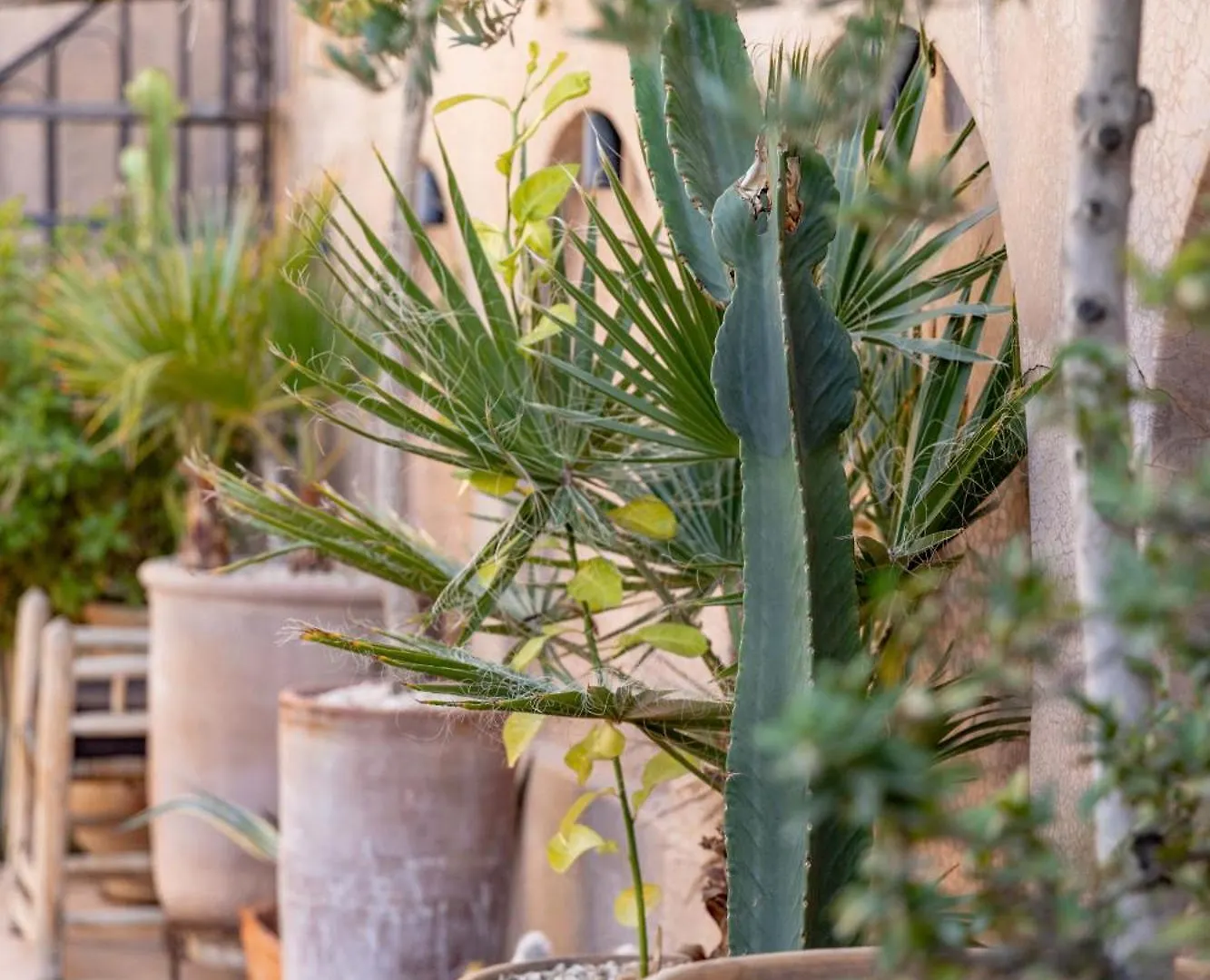 ****  Bed and Breakfast Dar Beija Marrakesh Marruecos